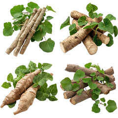 photo of wild yam herb, asian herbs, isolated on transparent background.