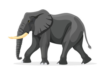 Canvas Print - Elephant isolated vector style