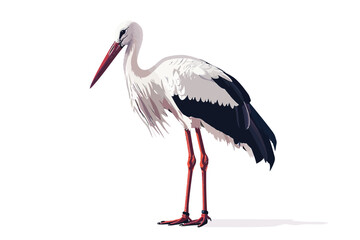 Canvas Print - White Stork isolated vector style