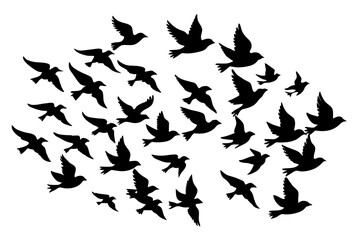 Sticker - flock of birds silhouette vector illustration