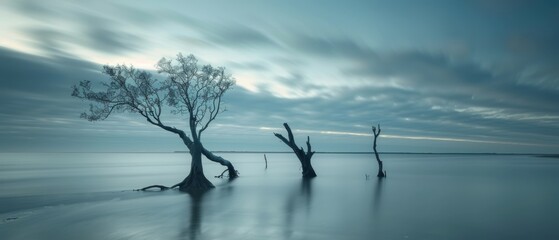 Wall Mural - Landscape photography, surrealism photography.