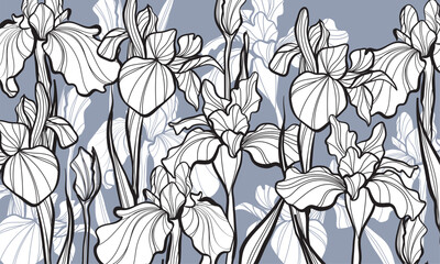 Wall Mural - Set of Beautiful Iris Flower Line Art Illustration. Sketch of blossoming irises. Vector Iris floral botanical flower. Wild spring leaf wildflower isolated. Isolated irises illustration element.
