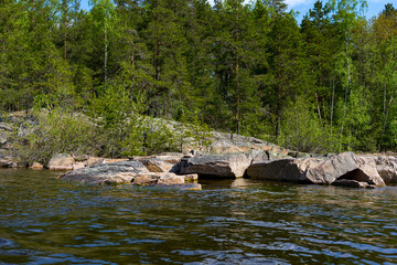 Wall Mural - The stone bank of the island, overgrown with pine forest on the lake