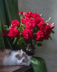 Wall Mural - Portrait pretty kitty with bouquet of red roses