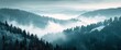 © Shutter Gems - Amazing mystical rising fog mountains sky forest trees landscape view in black forest ( Schwarzwald ) winter, Germany panorama panoramic banner - mystical snow foggy, Generative AI