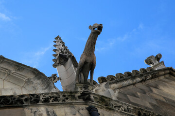 Arquitectura medieval con Gárgolas a lo alto en París, Francia.