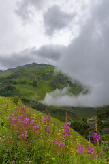 Wall Mural - Landscape near Route des Grandes Alpes, Savoy, France