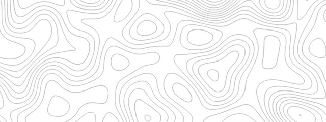 Abstract topographic White wave paper curved reliefs. Topographic map patterns, topography line map. Abstract white topography vector background. Contour maps. Vector illustration.
