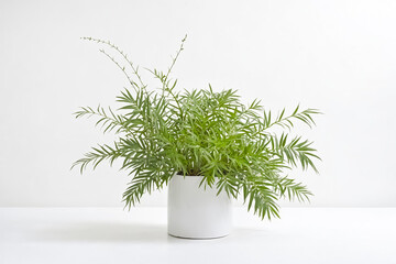 Sticker - Green Plant in a White Pot on White Table