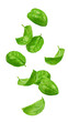 © grey - Falling basil, isolated on white background, full depth of field