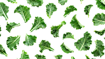 A collection of fresh, green kale leaves isolated on a white background