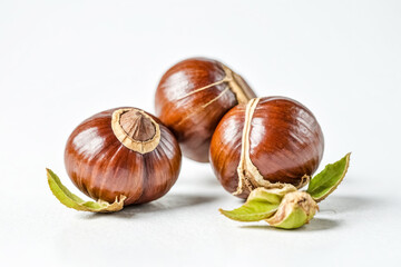 Canvas Print - Chestnuts on White Background