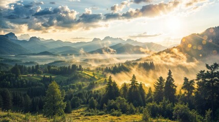 Wall Mural - Misty mountain valley at sunrise with sunbeams