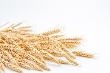 Wall Mural - Wheat Ears on White Background