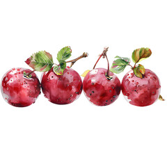 Wall Mural - Set Cranberry on a white background watercolor hand drawing