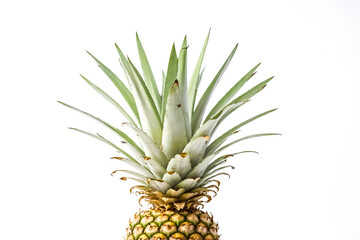 Wall Mural - Close-up of a pineapple's crown isolated on a white background