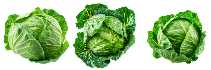 Set of Fresh green cabbage on transparent background