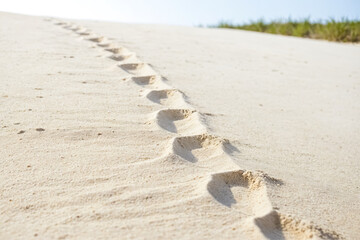 Wall Mural - Footprints in the Sand