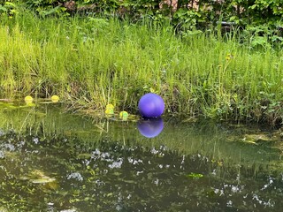 Sticker - View of green plants growing near lake outdoors