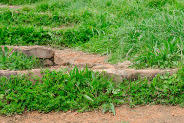 Canvas Print - Stones on a hiking trail overgrown with grass