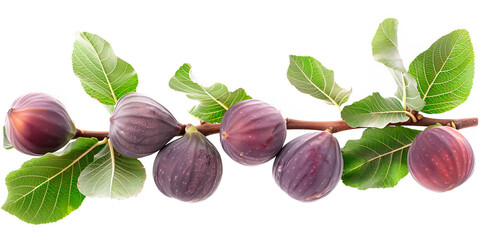 Wall Mural - Close-up of ripe Figs on a tree branch. Vibrant fruits and green leaves convey freshness and healthy living