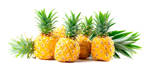 Wall Mural - Close-up of ripe pineapples on a tree branch. Vibrant citrus fruits and green leaves convey freshness and healthy living