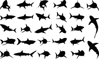 Wall Mural - set of sharks in different poses silhouette, vector