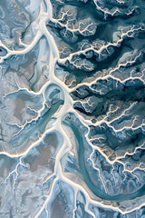 Wall Mural - Aerial view of a river delta, capturing the intricate, abstract patterns formed by the waterways. Emphasize the natural lines and the interplay of light and shadow.