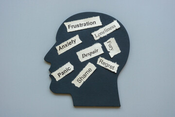 model of head and words anxiety frustration, panic and despair as negative emotions.