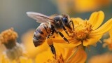 A dynamic close-up of a honeybee in flight, pollen visibly clinging to its legs, against a backdrop of bright wildflowers