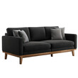 © Ayesha - PNG Modern lounge sofa black color mid century living room furniture