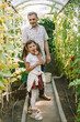 © Anna Lurye - Little girl and her grandfather in a greenhouse, amid plants with ripe tomatoes, representing learning and helping in gardening activities