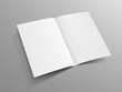 © prah - Blank Half Fold Brochure Template For Your Design
