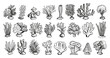 © LadadikArt - Doodle style different corals icons set. Low detailed line sketch with crisp contours on a white background. Coral reef elements hand drawn simple style black icons