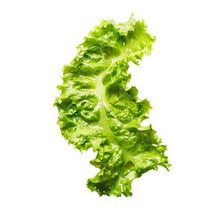 Close-up of a fresh, crisp green lettuce leaf isolated on white background, perfect for healthy eating and salad concepts.PNG, transparent background