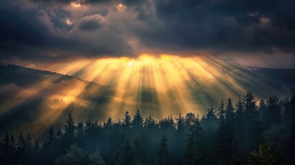 Sun breaking through a dramatic dark sky with God rays lighting up a forest below, showcasing the beauty of nature