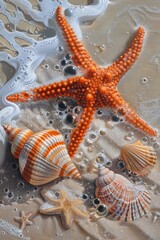 Wall Mural - A Vibrant Orange Starfish and a Striped Seashell Resting on a Sandy Beach