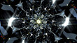 © Philipp - 3d render of abstract art with transform rotating fractal diamond crystal alien star flower in curve lines forms in glass material with color dispersion effect on black background based on rectangles