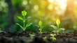 © Otseira - CO2 emission reduction concept, clean and friendly environment without carbon dioxide emissions. Planting trees to reduce CO2 emissions, environmental protection concept