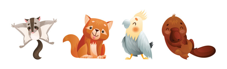 Wall Mural - cute australian animals and endemic fauna vector set