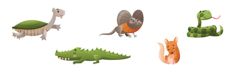 Wall Mural - cute australian animals and endemic fauna vector set