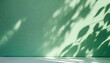 © Arthur - light background of shadows from plant leaves on a delicate light green lime wall, minimalistic background for the presentation of your products, stock wallpaper image template spring summer sun rays