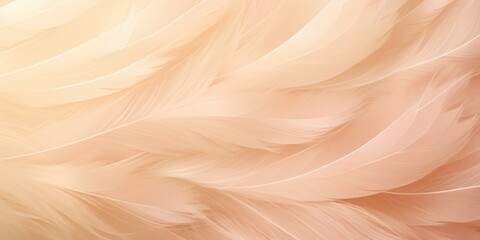 Wall Mural - Pastel feather background abstract texture soft bird light feathers fluffy design