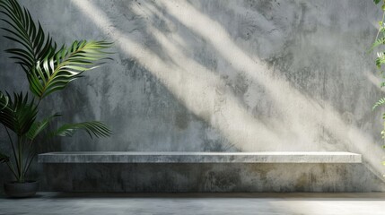 Canvas Print - Display Shelf. Empty Concrete Floor with Leaf Shadow Wall Display for Products