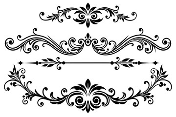 beautiful graphic with a black elegant plant ornament on an isolated background