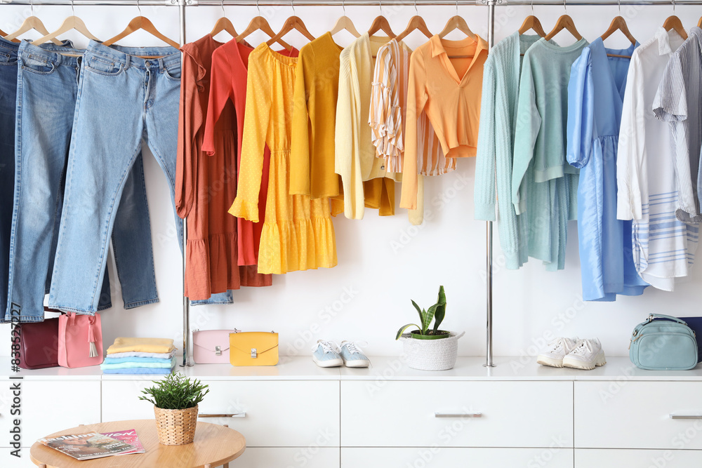 Modern wardrobe with stylish female clothes and accessories