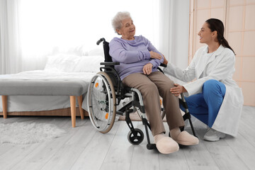 Poster - Physical therapist with senior woman in wheelchair at home