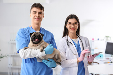 Poster - Young veterinarians with pug dog and tablet computer in clinic