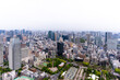 展望台から望む高層ビル群