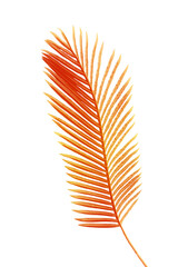 Poster - Red dyed areca palm leaf design element